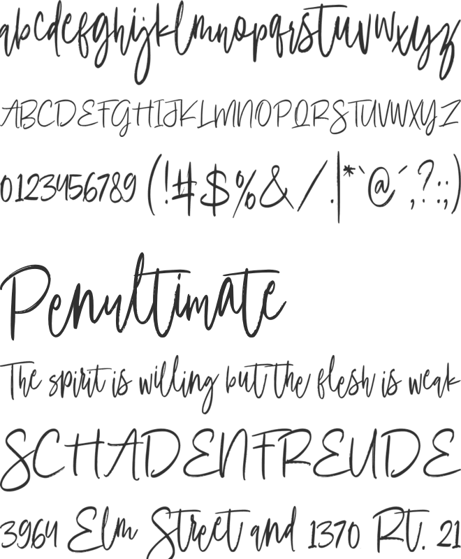 Amallinda Script font preview