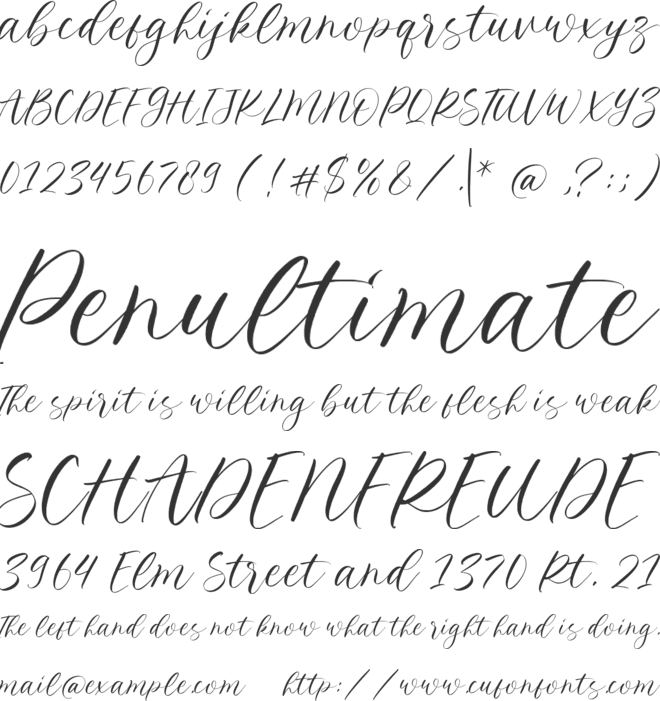 Royale Kingdom font preview