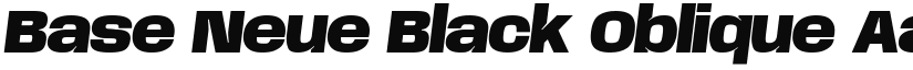 Base Neue Black Oblique font