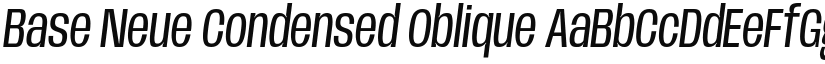 Base Neue Condensed Oblique font