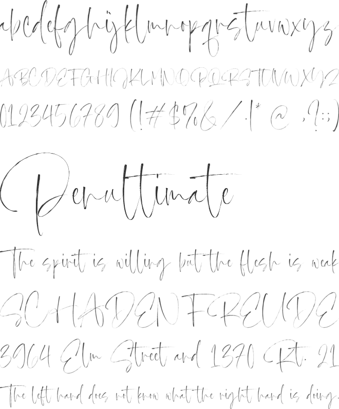 Estella Gardens font preview