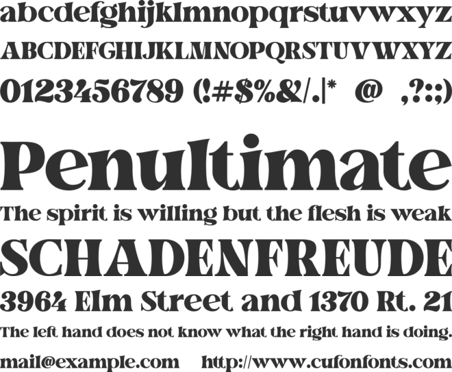 The Fieasto font preview