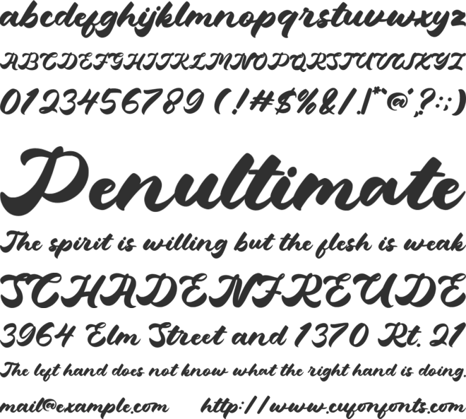 Hetigon Vintage font preview