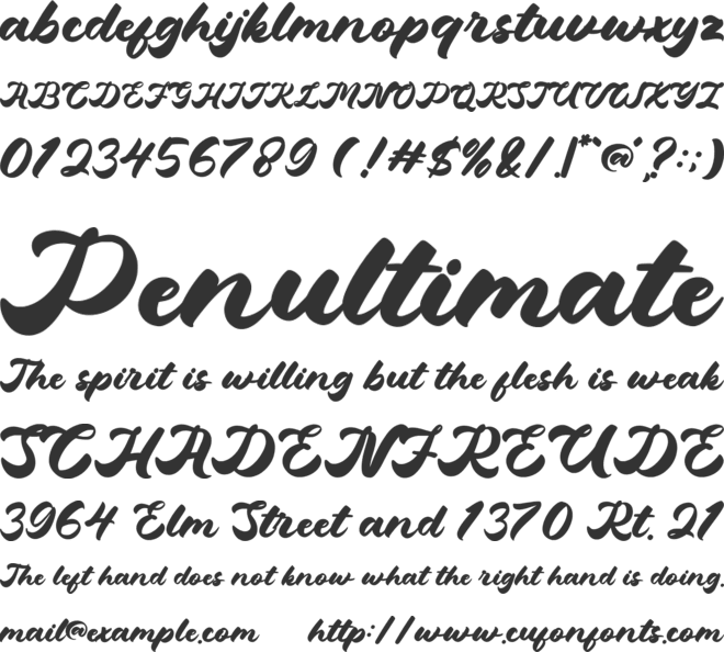 Hetigon Vintage font preview