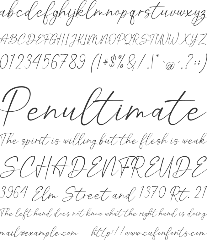 Katoria Script font preview