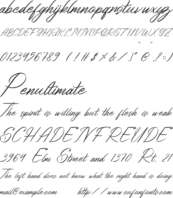 Bithodina font preview