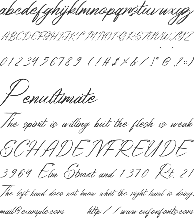 Bithodina font preview