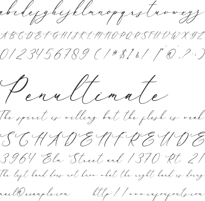 Baiden Amelie font preview