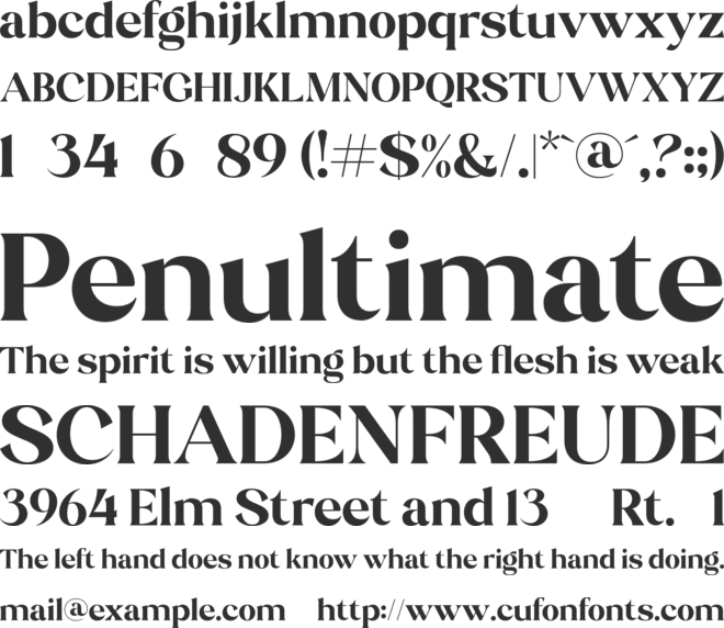 Stiepa Serif font preview
