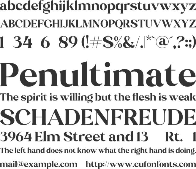 Stiepa Serif font preview