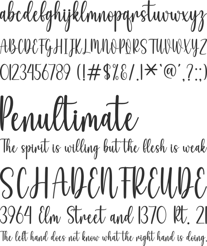 Beach Stories font preview