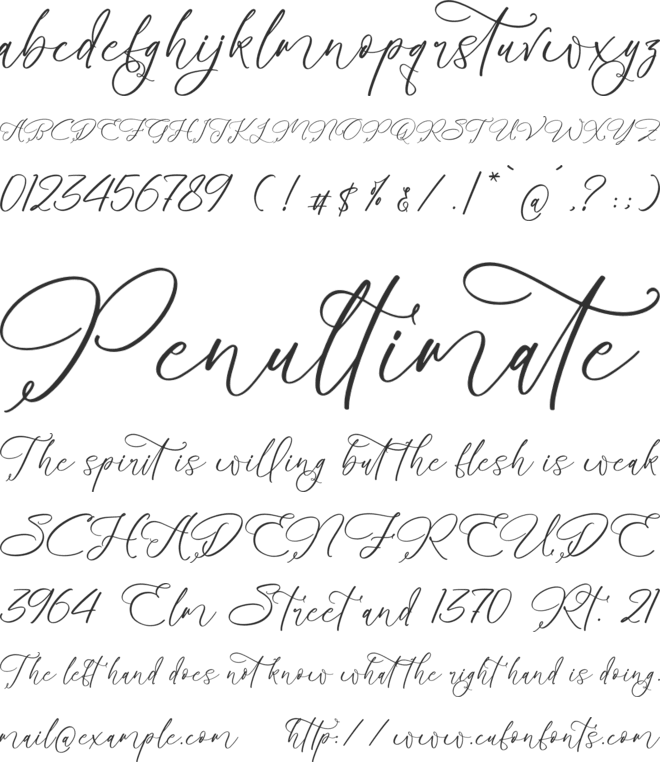 Benthany Amourty font preview