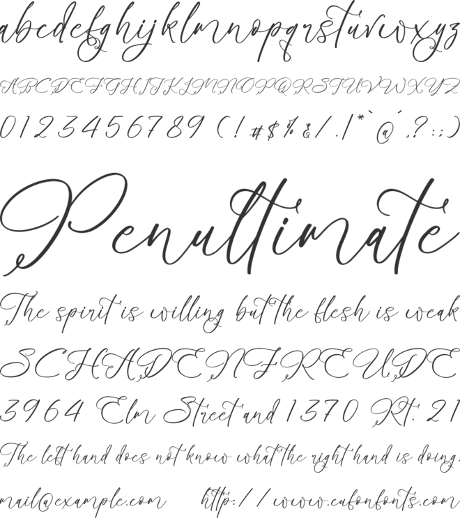 Benthany Amourty font preview