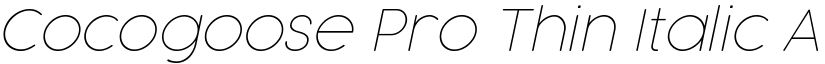 Cocogoose Pro Thin Italic font