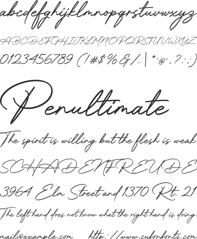 Brother Signature font preview
