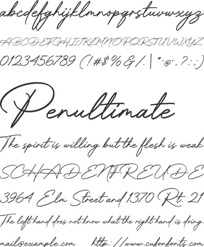 Brother Signature font preview