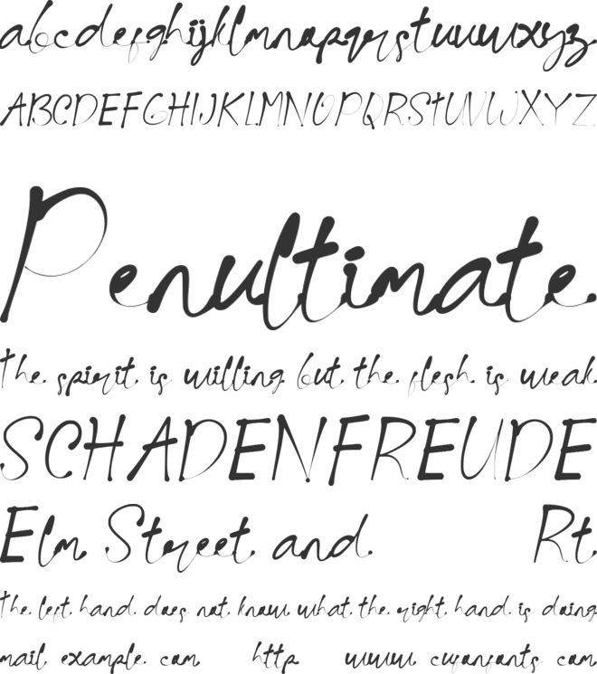 Black Amster font preview