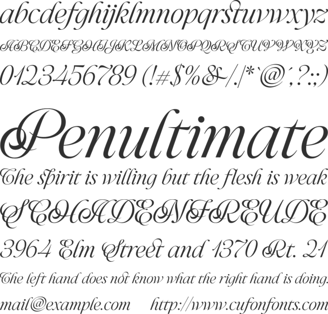 Bluesty Trial font preview