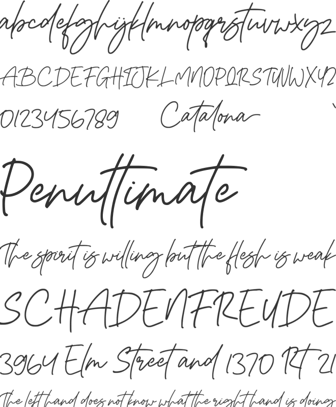 Catalona font preview