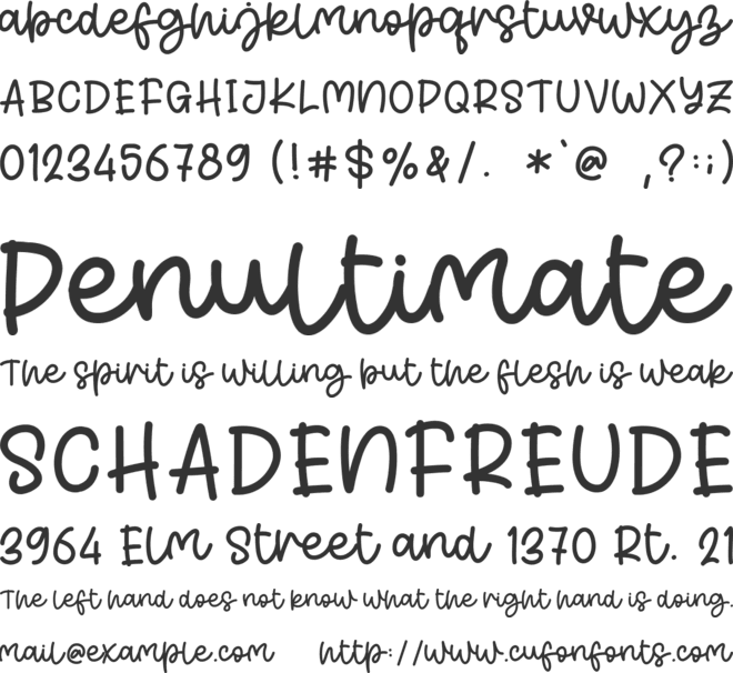 Singer Story - Personal Use font preview