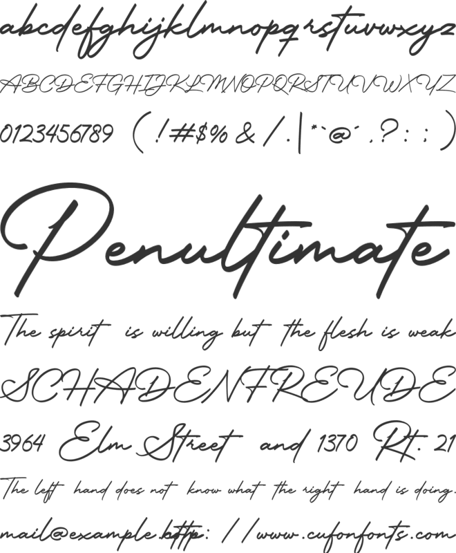 Motterdam font preview