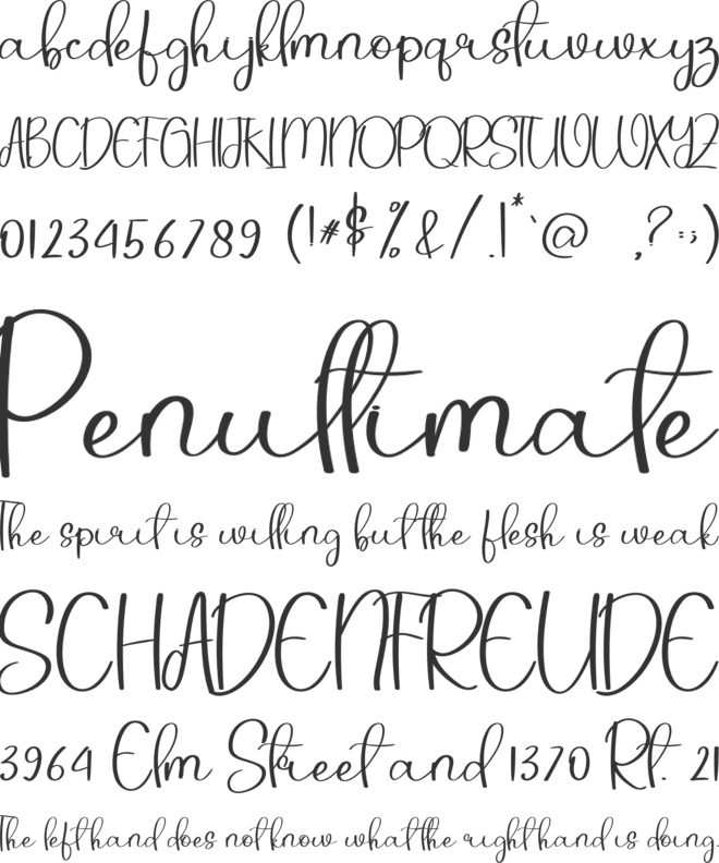 Autum Christmas font preview