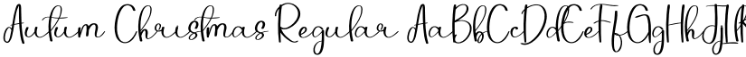 Autum Christmas Regular font