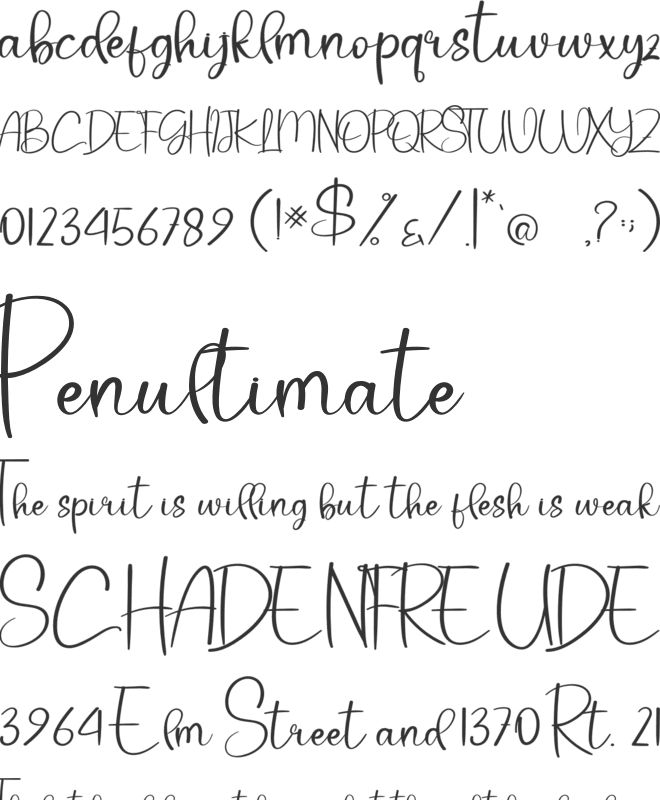 Boho Bear font preview