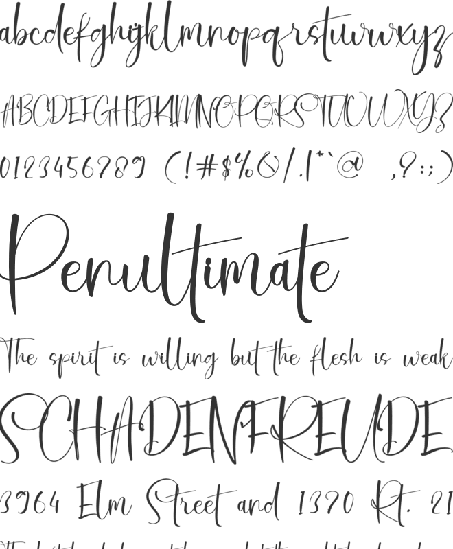 Potrait font preview