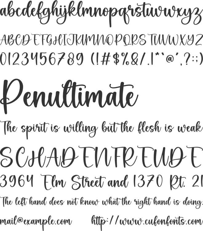Country Wedding font preview