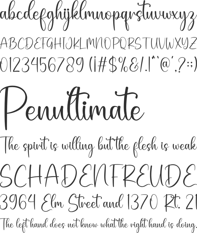 Austerlin font preview