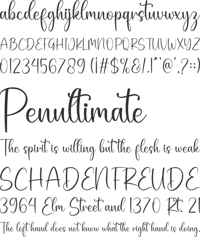 Austerlin font preview