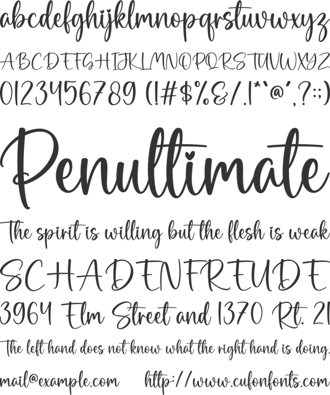 Tiramisu font preview