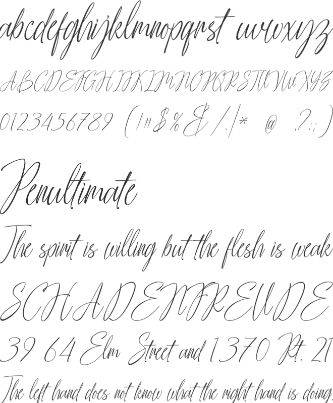 Advera Script font preview