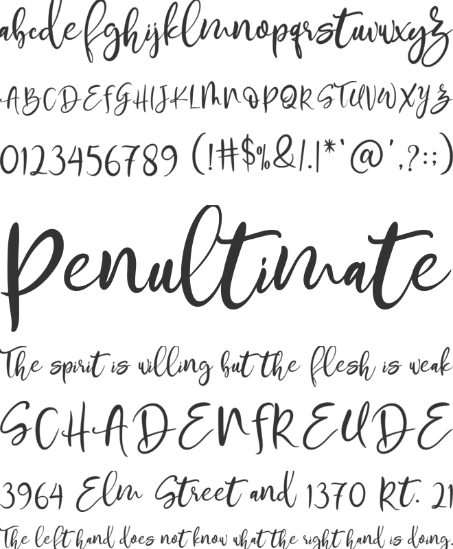 Staycatoin font preview