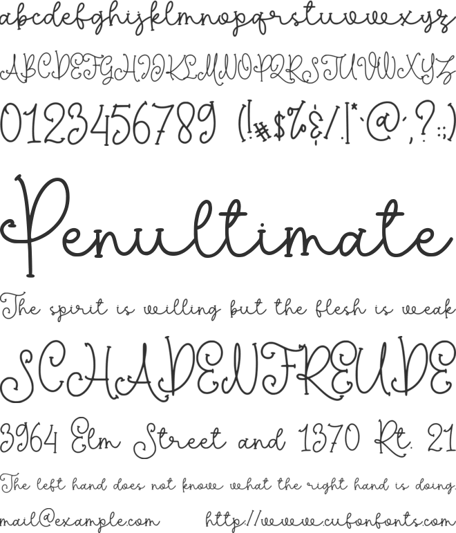 Michela Austin Serif font preview