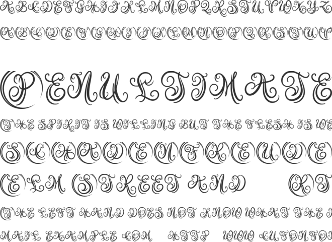Austy Monogram font preview