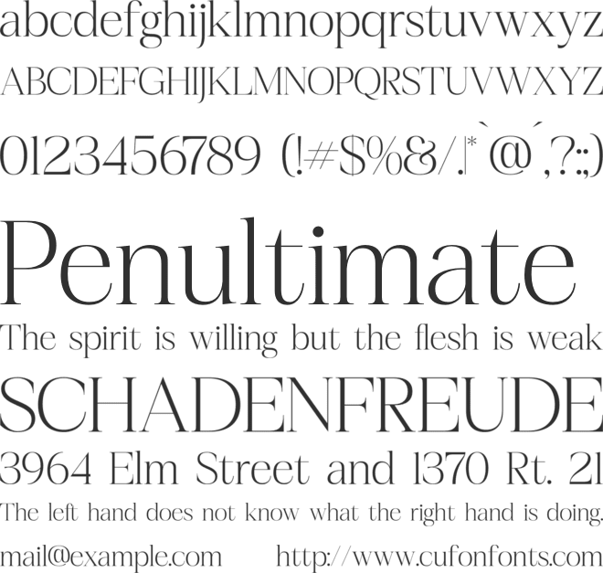Realife Moment font preview