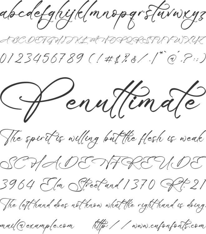 Blissfuly Magnotia font preview