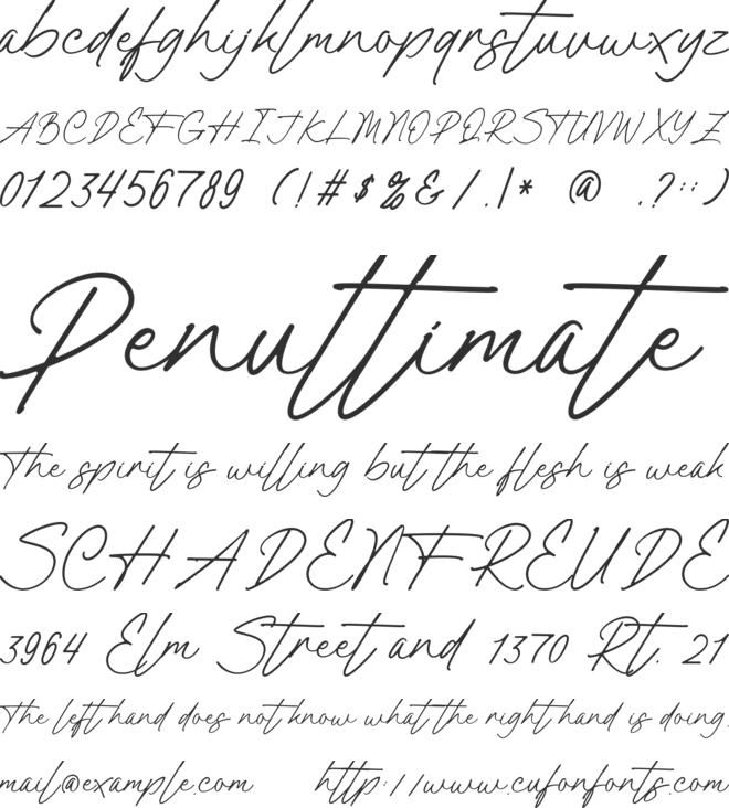 Panther Signature font preview