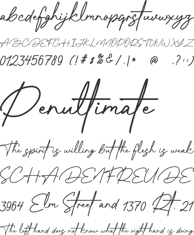 South Ortondo font preview