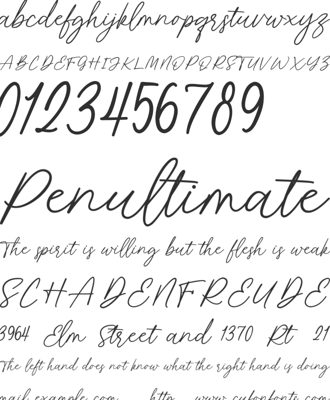 Florine Signature font preview