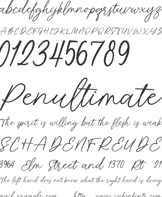 Florine Signature font preview