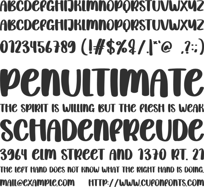 Christmas Planner font preview