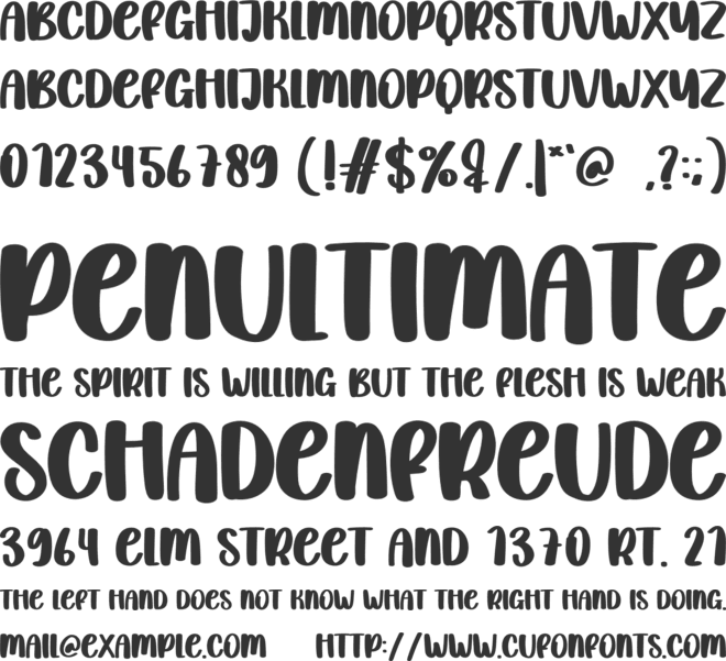 Christmas Planner font preview