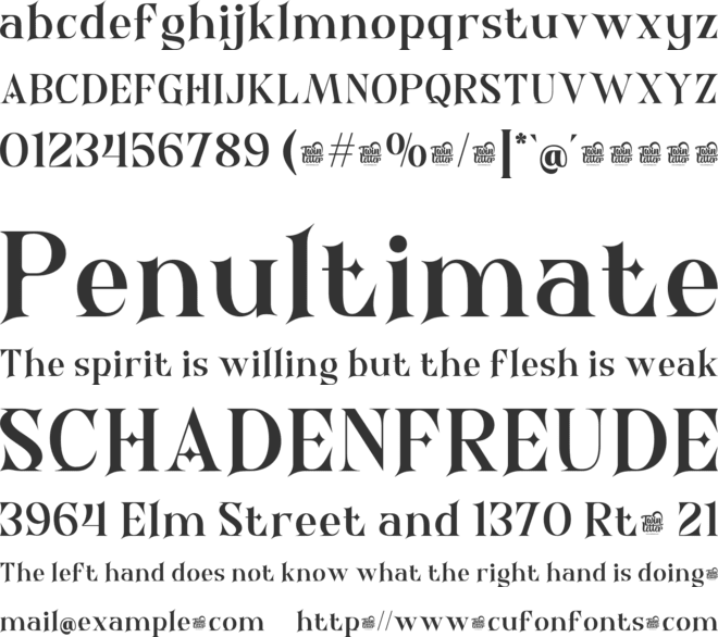 QILAVOEN Trial font preview