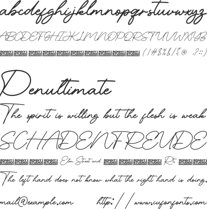 Brilian Signature font preview