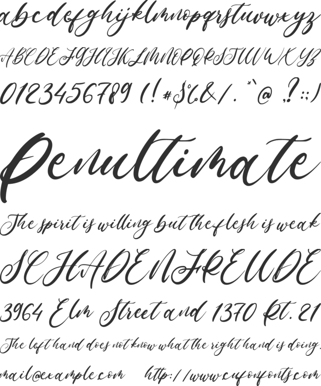 Allessa Curly font preview
