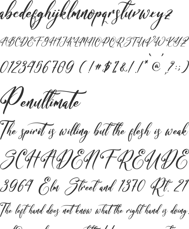 Bracetison font preview