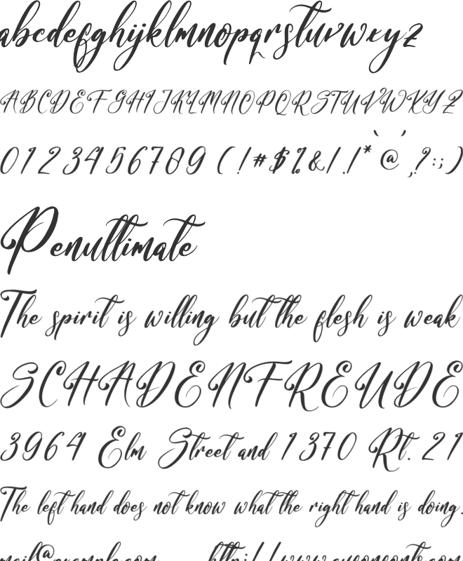 Bracetison font preview